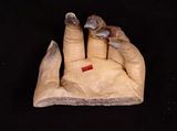 PlastinatedHand.jpg image by geckoadz