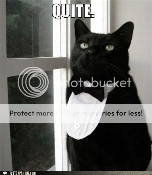 funny-captions-quite.jpg